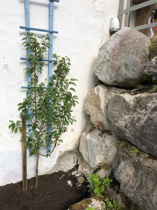 Alte Muehle Mit Wunderbarem Bergblick Vila Ramsau bei Berchtesgaden Exterior foto